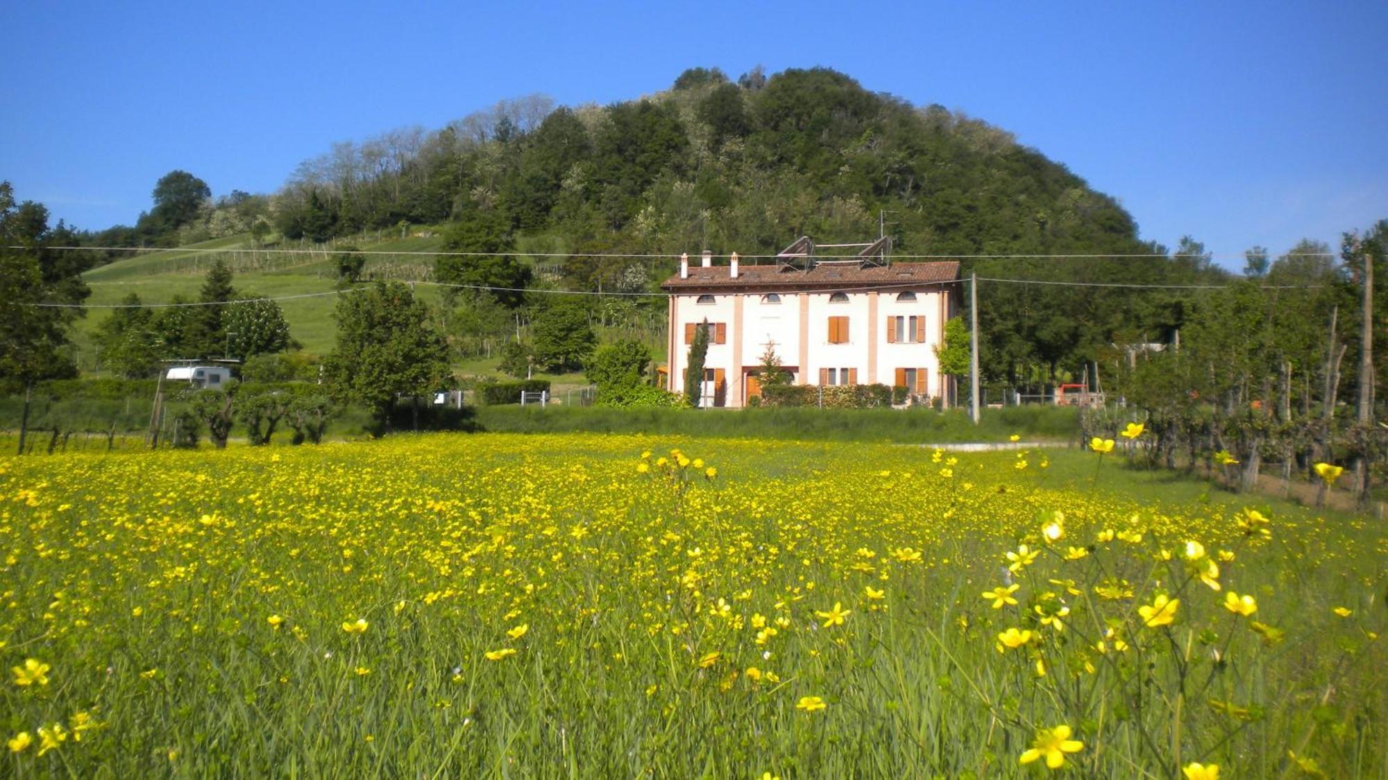 Agriturismo Il Cavicchio Pianoro Kültér fotó
