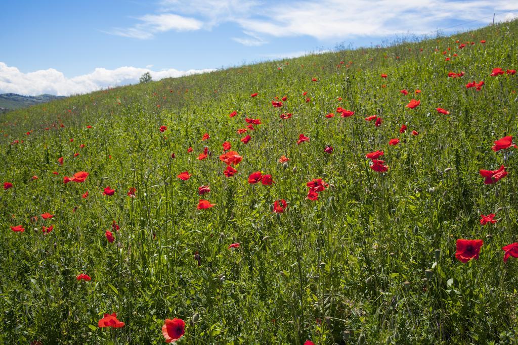 Agriturismo Il Cavicchio Pianoro Kültér fotó